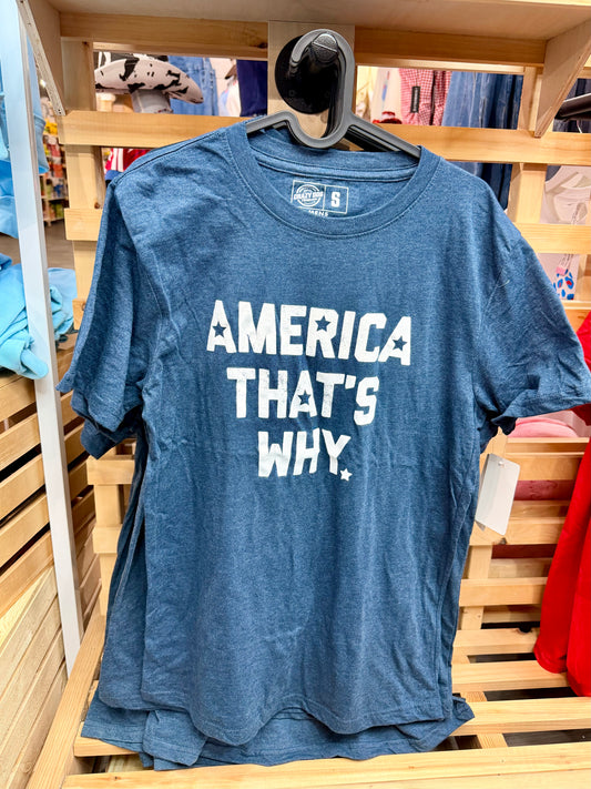 AMERICA THATS WHY TEE